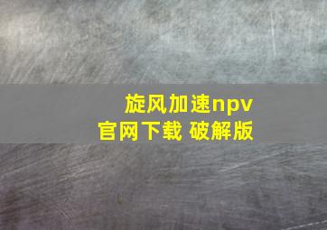 旋风加速npv官网下载 破解版